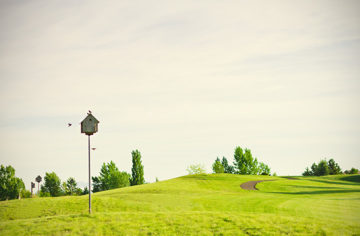 golf-course-slide-27